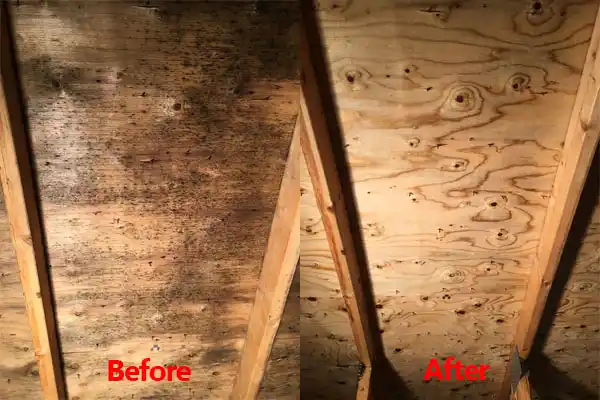 water damage restoration service Hagaman